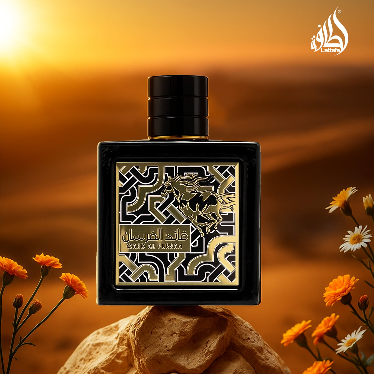 Qaed Al Fursan Black