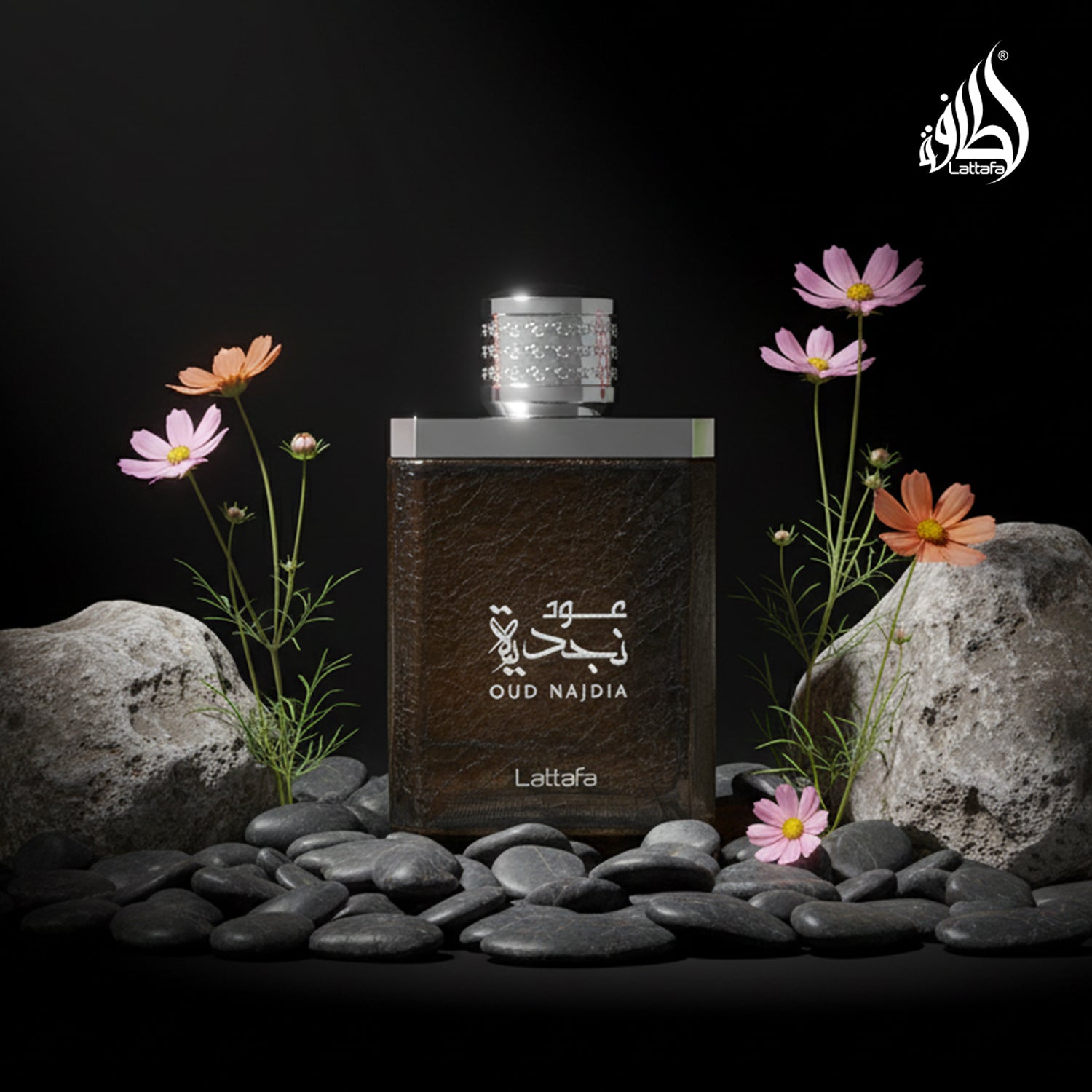 Oud Najdia