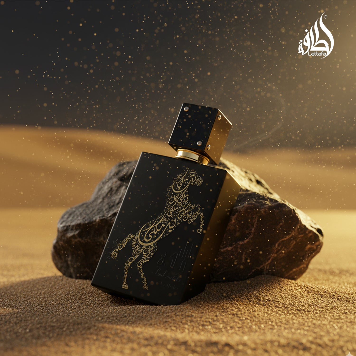 Lail Maleki Black