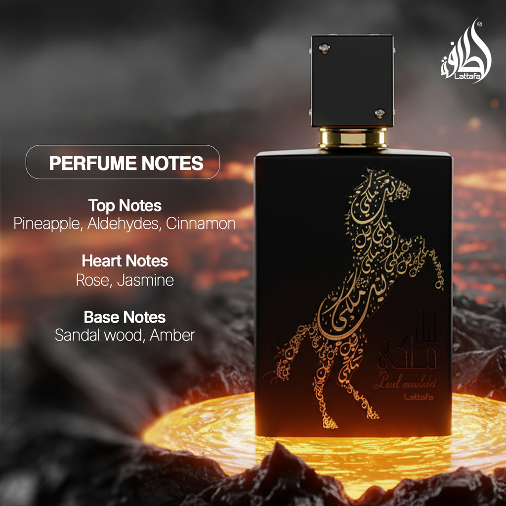 Lail Maleki Black