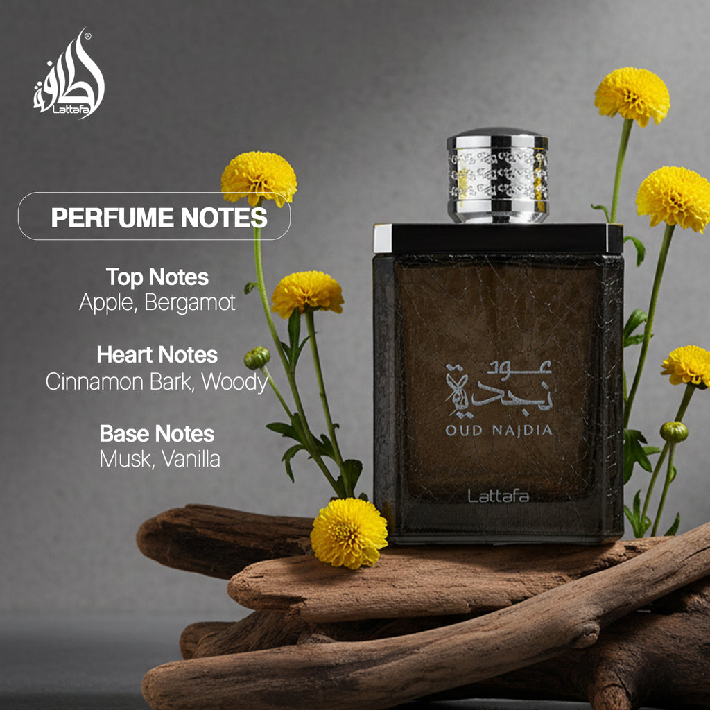 Oud Najdia