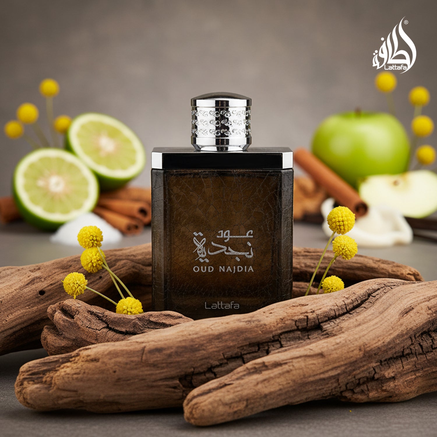 Oud Najdia
