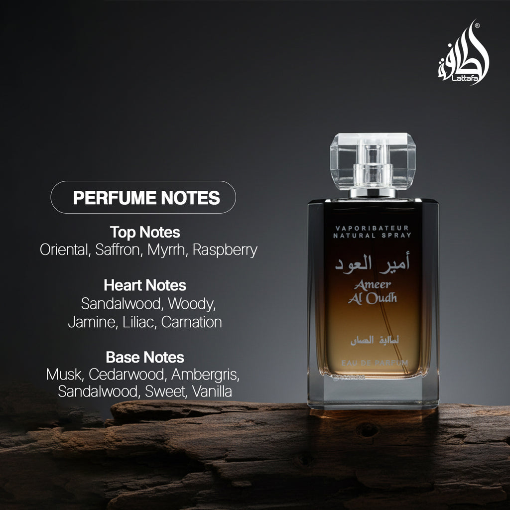 Ameer Al Oud