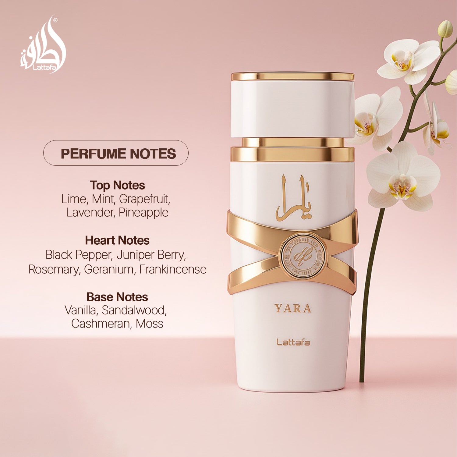 Yara Moi