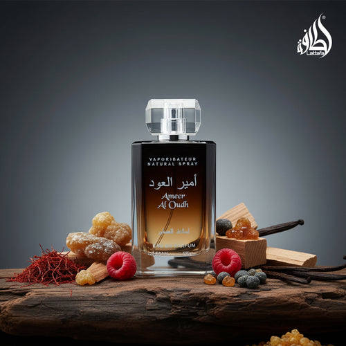 Ameer Al Oud