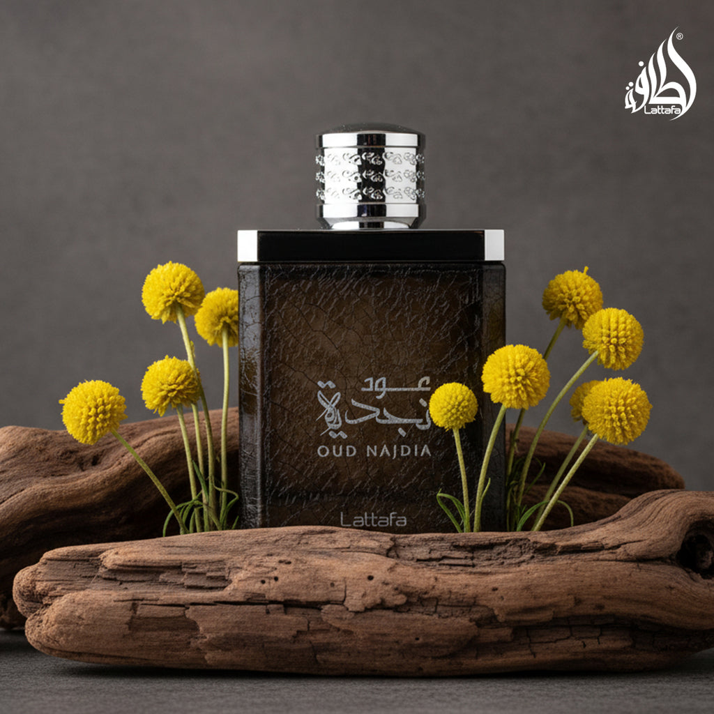 Oud Najdia