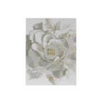 Musk Roses